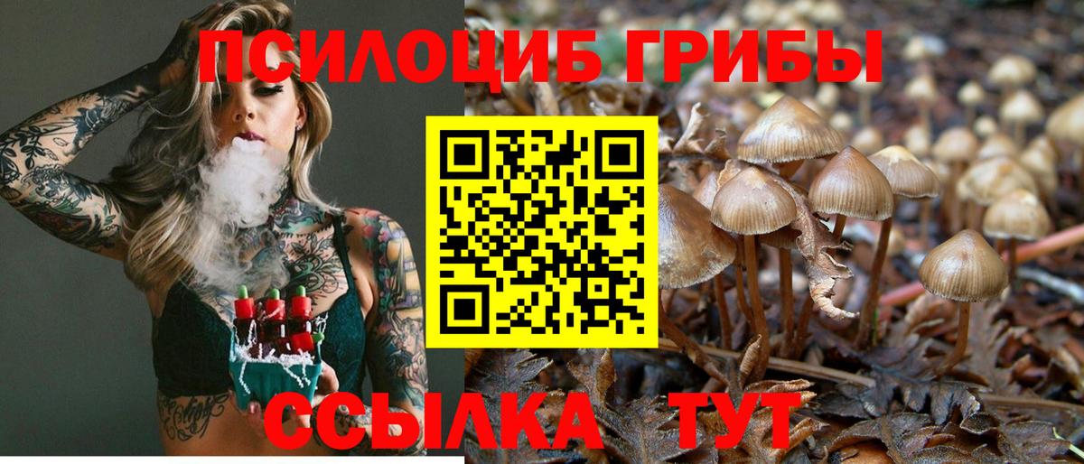 Чита  Галлюциногенные грибы Psilocybe  цена   Вход с VPN 